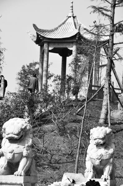 点图查看下一页