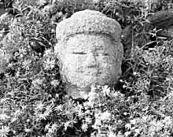 ɽ���������ƴ���ʯ��ڣ���ǹŴ���β���̣�ͼ��