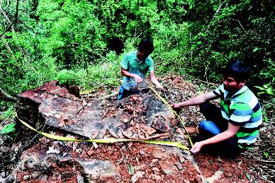 ����һ�������ڡ��ľ������������������꣨ͼ��