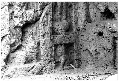 ������κ����Ⱥ�֡��в�è��һֻצ���������֣�ͼ��