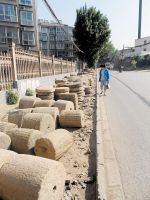 山西一民间博物馆为规划让路展品只得放路边(图)