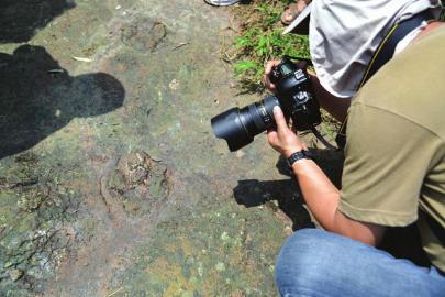 �Ĵ����־��һ���������ӡ������Ϊ��Ѽ��ӡ