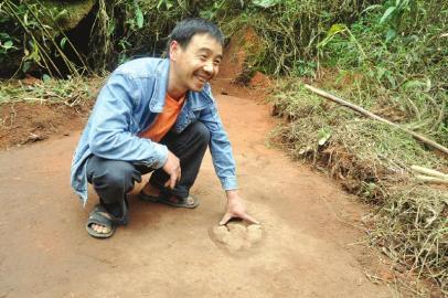 �Ĵ����־��һ���������ӡ������Ϊ��Ѽ��ӡ��2��