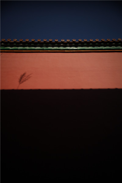 长沙14岁男孩拿下美国国家地理摄影大奖(图)