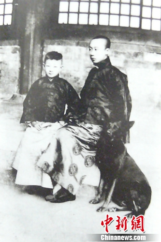 ��������֪�������ǡ����弯�����ǳ�Ű���޴�̫��