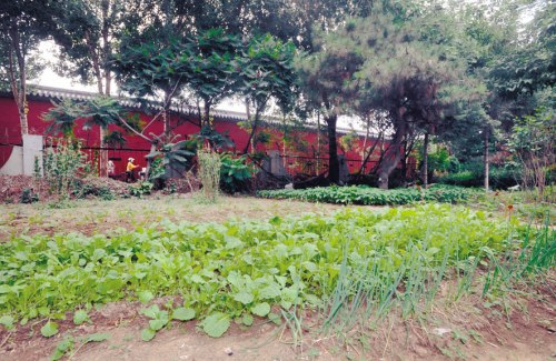 �����ʹ���Χ�ֲ˵�:ռ�ؽ�ǧƽ���׾๬ǽ2��