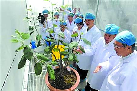 Ӣ�����Ҽ����ţ��ƻ���������Ϻ��޽ӳɹ�