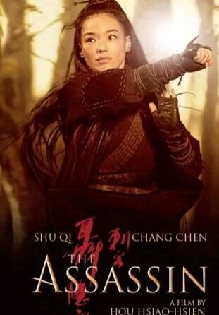 古代小说中的女侠:聂隐娘藏刀于脑邓剑娥营救洋人