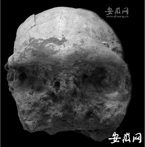华龙洞最初被发现是2004年村民建羊圈偶得化石