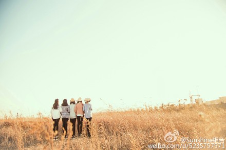 “全民出道”后的偶像文化:明星出道开始走网红路线