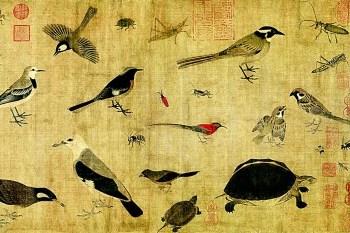 图绘自然：博物绘画在中国