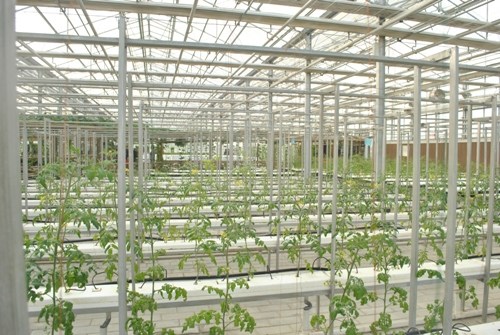 ��ý������:���Ŵ�����������������ʻ�����