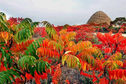 ��ͼ����ɫ��Ⱦ��������