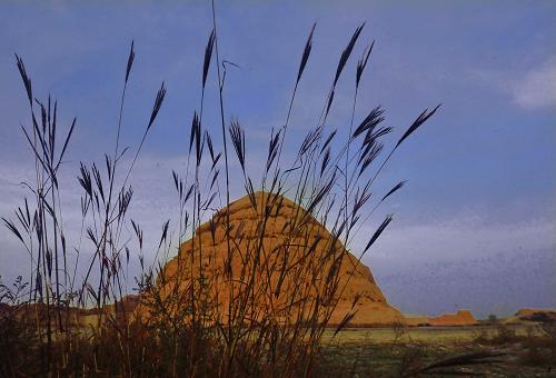 ��ͼ����ɫ��Ⱦ�������꣨3��