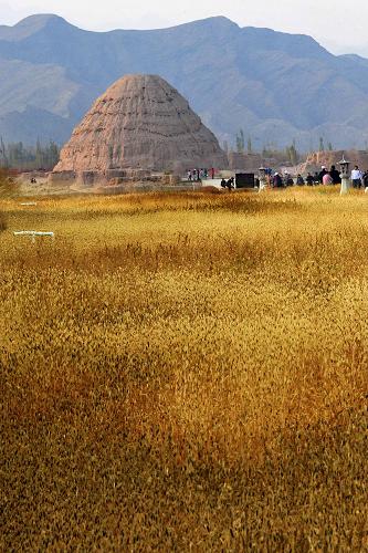 ��ͼ����ɫ��Ⱦ�������꣨4��