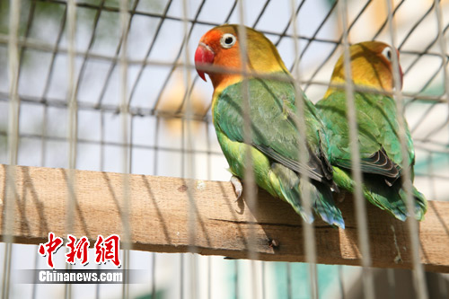 ��ͼ��̽��������������¡����Ϲ�������£�5��