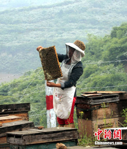 �봨���������꣺��ɽ��׷�����ۡ���������