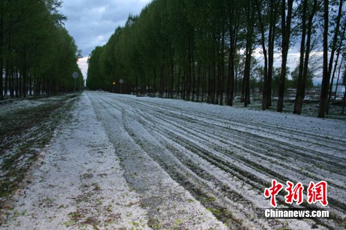 �½�����ũ4ʦĳ�����ش����Ϯ������Ķũ������