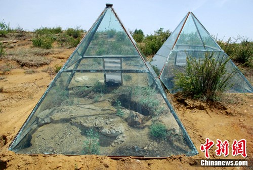 ɽ��ľ��ʯ�������飺����ľ��ʯ20��ʧ��1/3