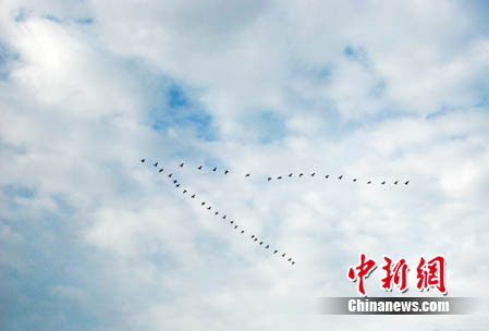 ��ȥ�����½����Ⱥ�ʪ���ĺ���ʼ��Ǩ��ͼ��