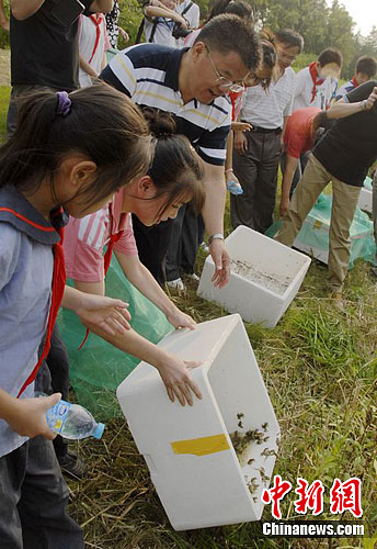 上海首次大规模野外放生青蛙图