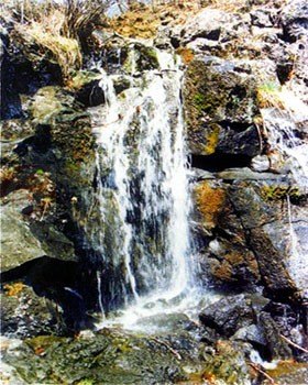 �������ɵ����ױ�����������͡��ֺ�ʯ�١�