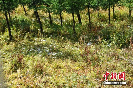 ����ɽ���У�ͼ˵��ɽ������մ��棨��ͼ����5��