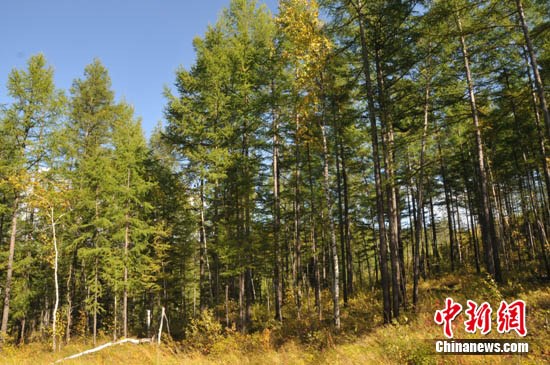 ����ɽ���У�ͼ˵��ɽ������մ��棨��ͼ����6��