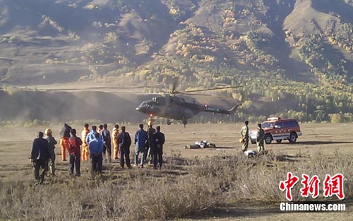 �½�����˹��ľ��ɭ�ֻ�������������Ԯ��ͼ��