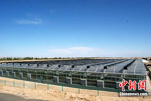 ����Ԯ��������57���׸���չ�滮��Į��������