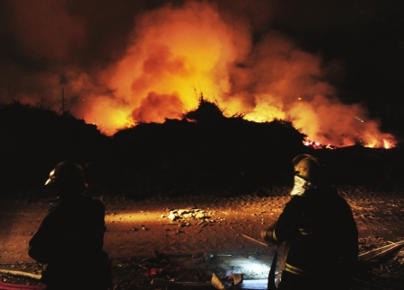 �Ĵ���è����������������û����Ӱ�죨ͼ��