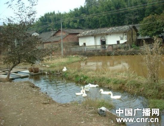 ӡ�������㶫���ɶ�Ȫ���ٴ�ð�ݱ�����ֱ����ϵ