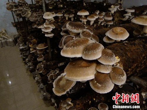 �������ݼ���ʵ��ѭ����ҵ��չ�������ũ������