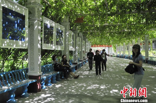 ��³���������ջ���ɽ����ʵ�����³�50�棨ͼ����4��