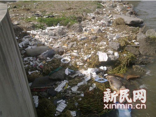 黄浦江上游漂浮900余头死猪尚未影响饮用水安全