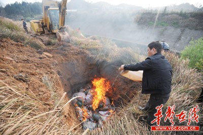 点图查看下一页