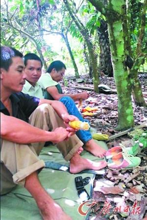 加纳中国淘金者生存现状:躲深山怕遭劫被抓(图)(2)