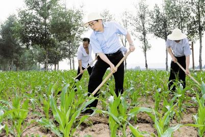 山西省委书记袁纯清下乡住村帮农民锄草松土(图)