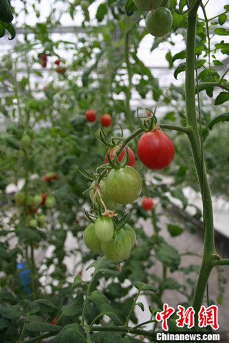 ̩��ũҵʾ��������̨��������з���������ͼ����4��