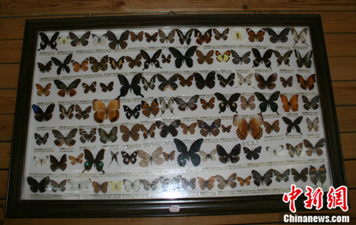 ̩��ũҵʾ��������̨��������з���������ͼ����5��