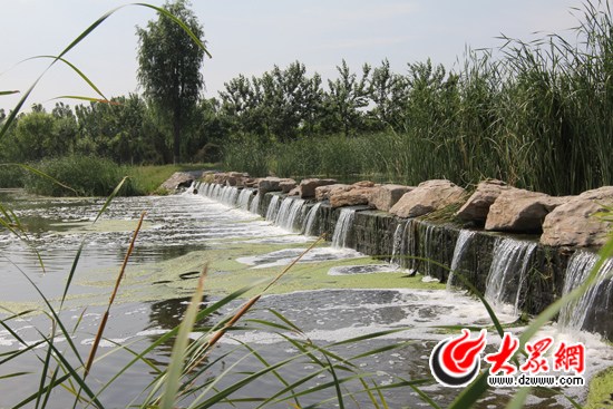 ������̬���ۼ���Ч��������������ʪ�ع�԰