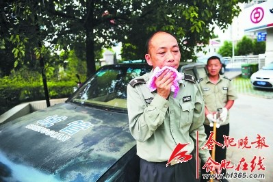 合肥三名城管撑起被风吹落电缆获赞“撑杆哥”(图)