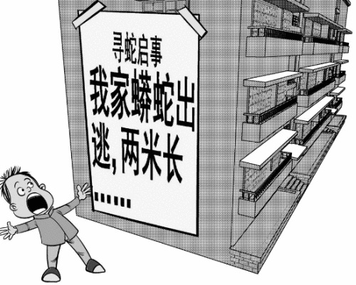 江苏某小区一条宠物蟒蛇走失全小区人几天睡不着(图)