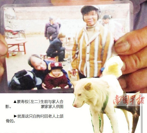 六旬老人寻耕牛时失踪12天后被狗叼回上颌骨(图)