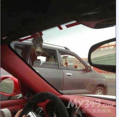 ������¿�����γ��ϼ���Ƭ�ߺ����ѣ��ϳ��ּ�����