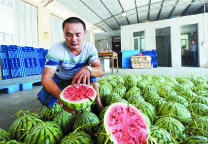 ���ʦ��ÿ���������ֻ����ָһ��������֪�û���ͼ��