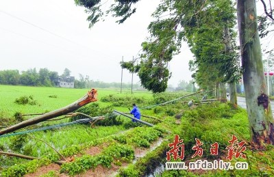 ǿ̨�硰���ء���Ϯ�㶫�����ض�ƽ�����17�����