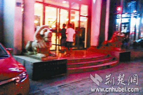 �ҡ��人ҹ������ɴ������ɫ������οͽ������飨ͼ��