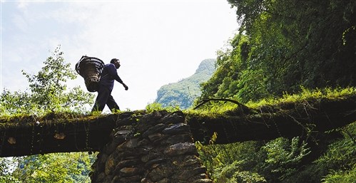 乡村教师40年“绝壁路”:不留神就粉身碎骨(图)