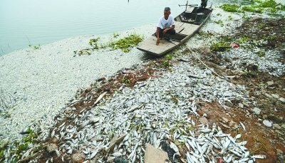 �人��������Ⱦ������ʮ����Ư������в���లȫ(ͼ)